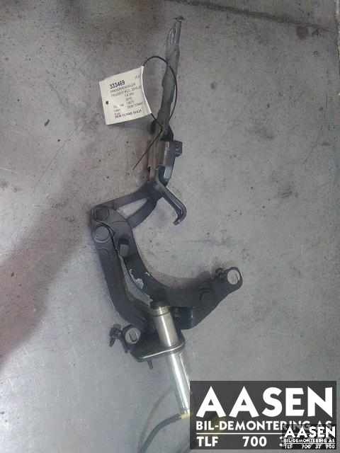 Panserhengsler til Peugeot RCZ, 2010-2015  (7912 G1)