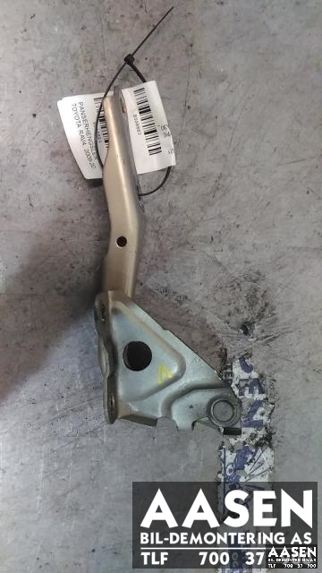 Panserhengsler til Toyota RAV4, 2009-2013 (Type III, Fase 2)  (53420-42060)