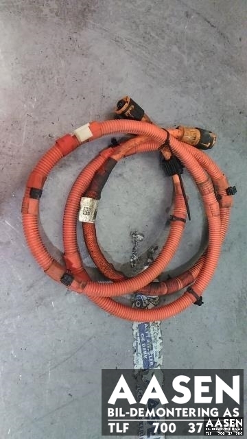Ledningsnett til BMW 3-Serie, 2012-2018 (F30/F31/F34) (F30/F31/F34) (6824114-02)
