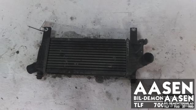 Intercooler til Nissan Pathfinder 2005-2010 (Fase 1) (R51) (R51) (14461EB360|)