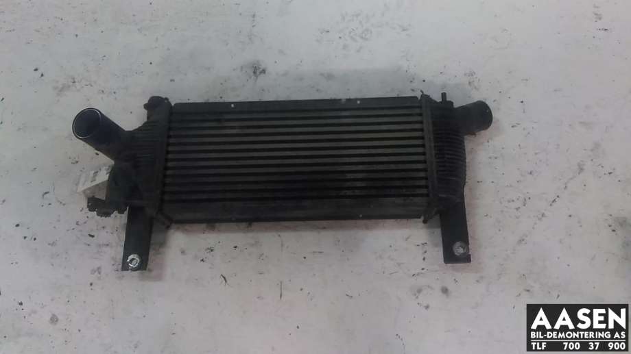 Intercooler til Nissan Pathfinder, 2005-2010 (Fase 1) (R51) (R51) (14461EB360)