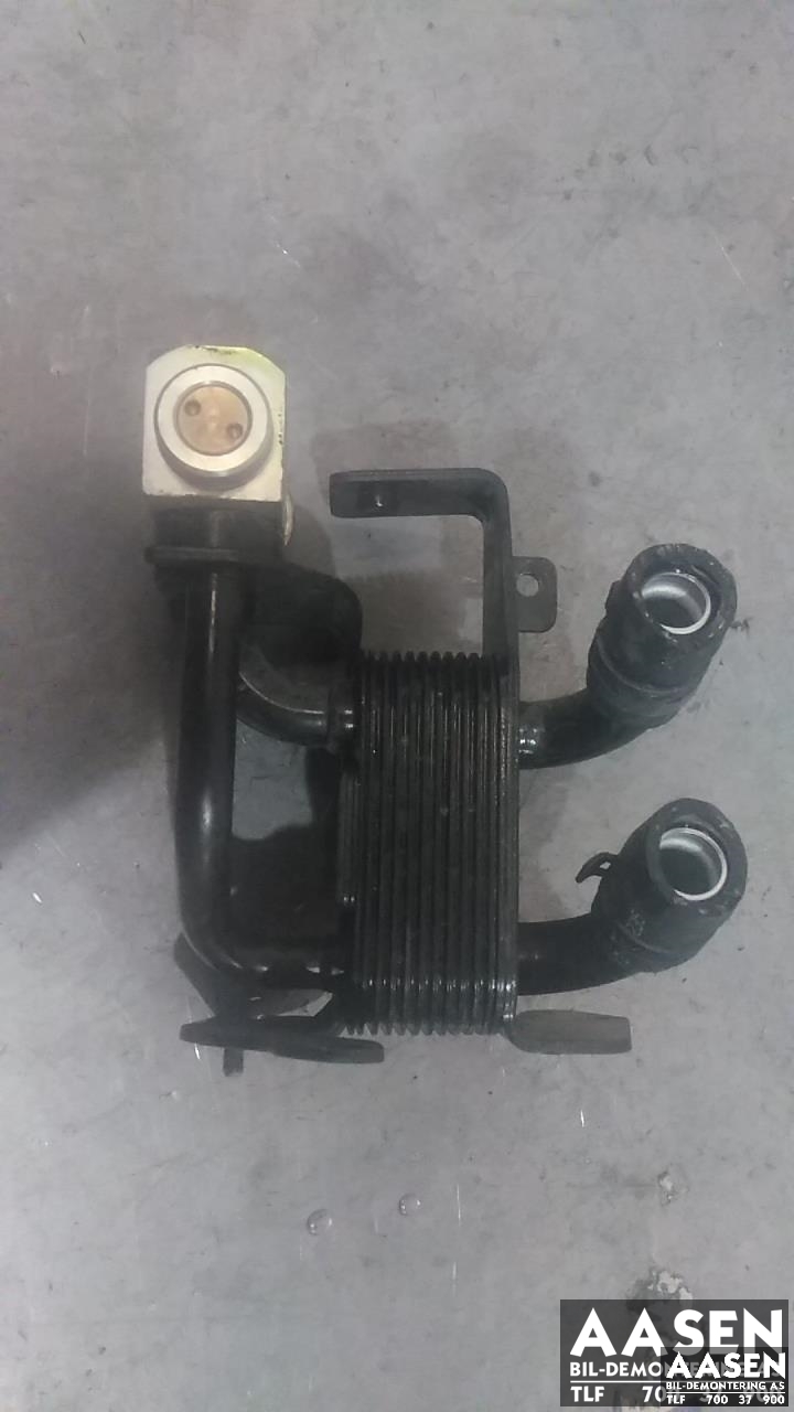 Styreenhet diverse til Fiat 500, 2008-2020  (68106050AE)