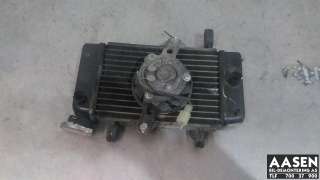 MC, Radiator til MC Yamaha MT-125, 2014-2019  (|)