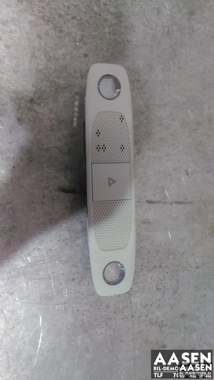 Taklyspanel til Tesla Model Y, 2021-2024 (Type I) (1638021-00-D)