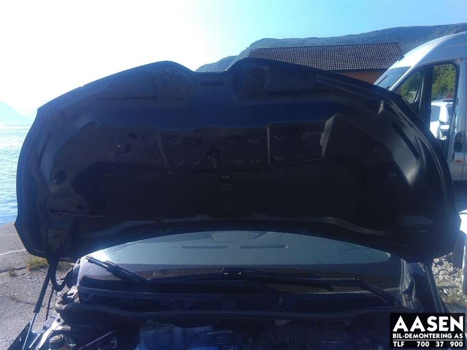 Panser til Renault Captur 2013-2020 (Type I)  (651000391R|)