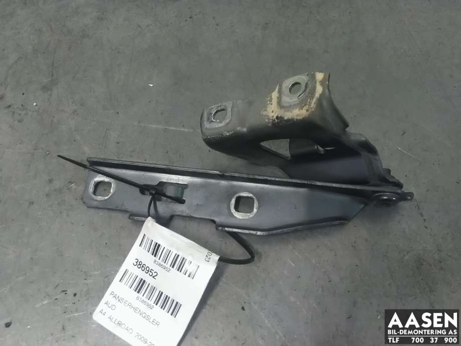 Panserhengsler til Audi A4, Allroad, 2009-2016 (Type I) (B8) (B8) (8K0 823 301 D)
