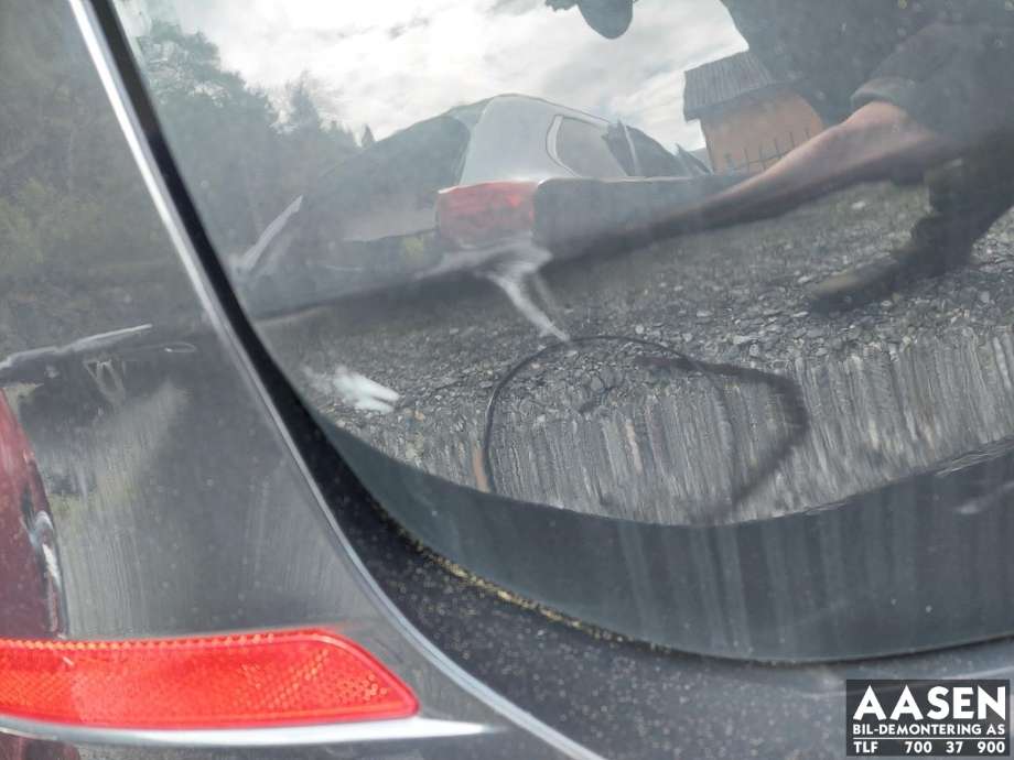 Bakluke combi til BMW X1 2015-2022 (F48) (F48) (41 00 7 350 826|)