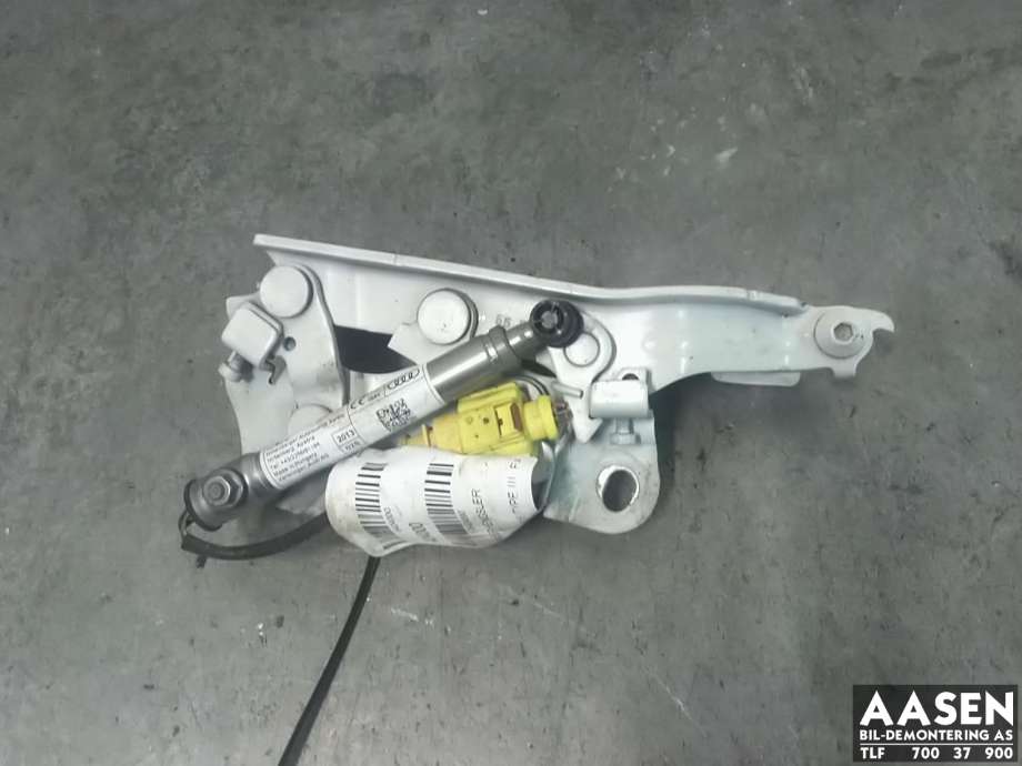 Panserhengsler til Audi A3, 2012-2016 (Type III, Fase 1)  (8V0 823 302 F)