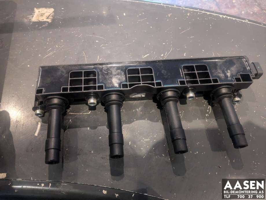 Coil elektronisk til Opel Meriva A 2003-2010 (FAE|19005212|)