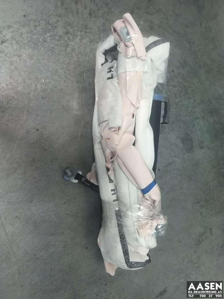 Airbag gardin venstre til Tesla Model S, 2016-2021 (Fase 2)  (1005261-00-E)
