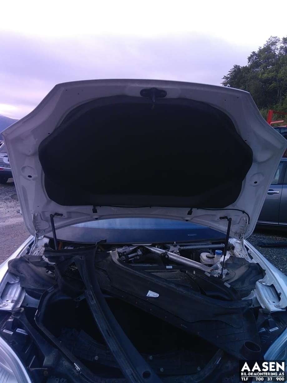 Panser til Tesla Model S 2013-2016 (Fase 1)  (1038384-S0-C|)