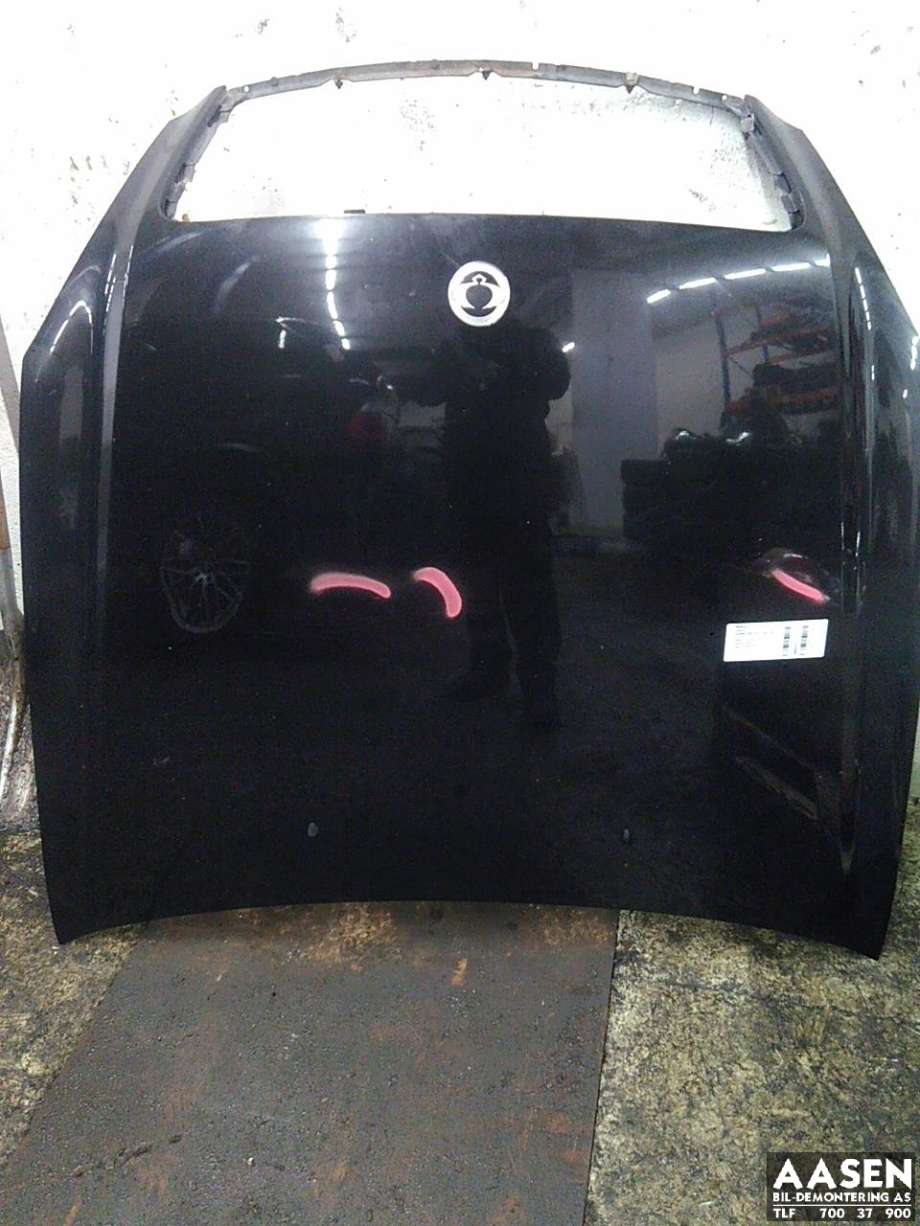 Panser til SsangYong Rexton, 2007-2013 (Y250) (Y250)