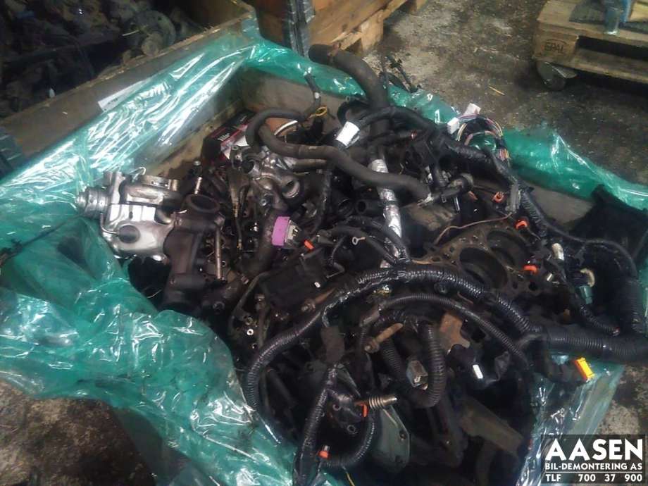 EGR-ventil til Nissan Navara 2010-2015 (Fase 2) (D40) (D40)