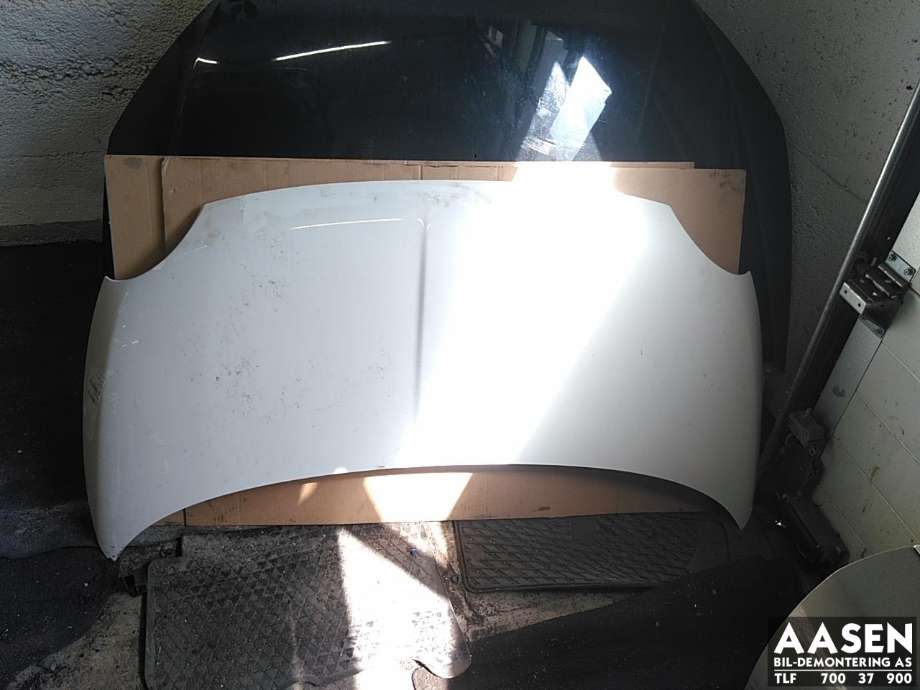 Panser til Fiat 500, 2008-2020