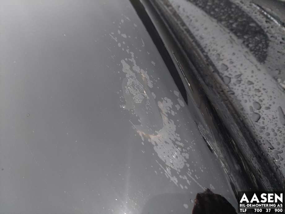 Panser til Dodge Ram 2003-2008 (Type III)  