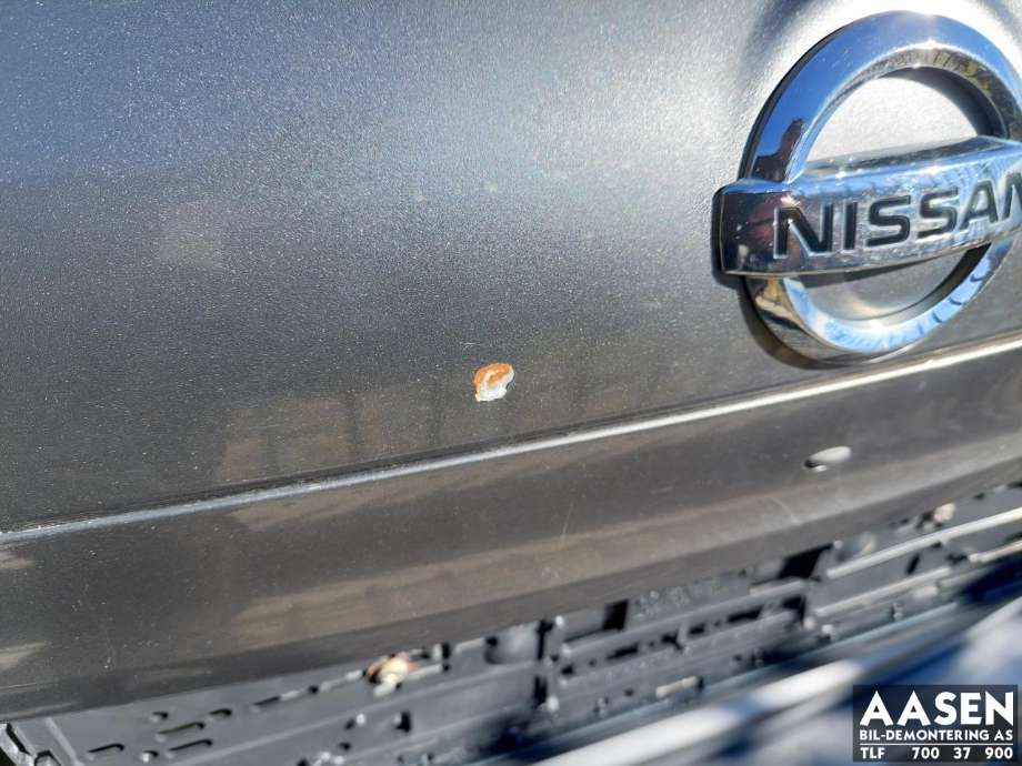 Bakluke til Nissan Qashqai 2010-2014 (Type I, Fase 2)  (K0100BR0MA|)