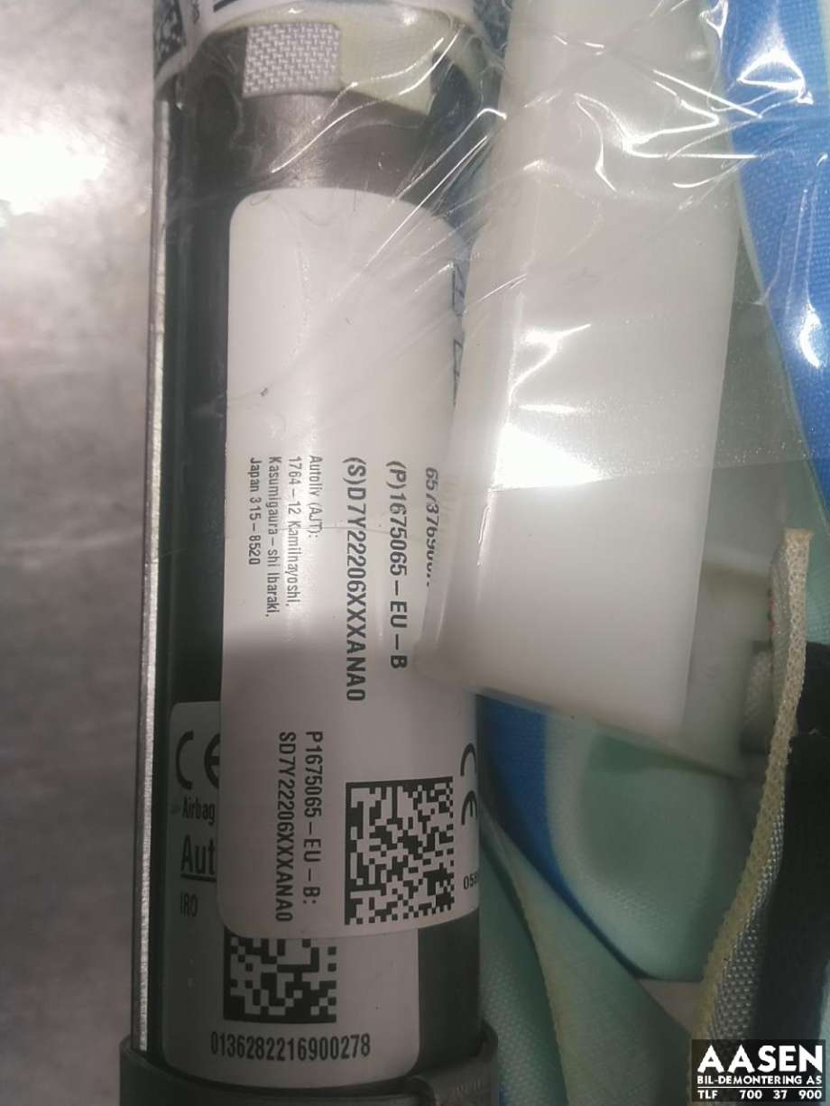 Airbag gardin venstre til Tesla Model Y 2021-2024 (Type I) (1675065-EU-B|)