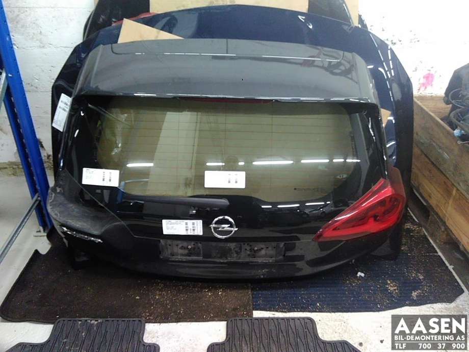 Bakluke combi til Opel Ampera-e 2017-->> (Type II)