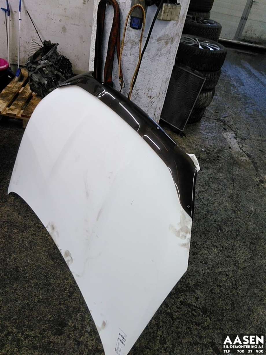 Panser til Nissan Qashqai 2010-2014 (Type I, Fase 2)  (F5100BR0MC|)