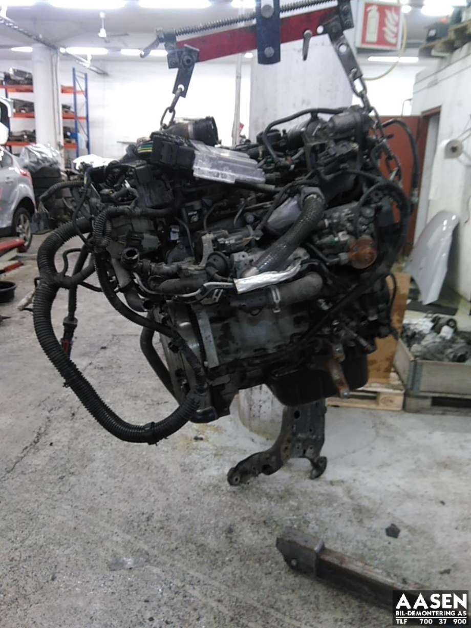 Motor diesel til Ford Focus, 2014-2018 (Type III, Fase 2)  (NGDB|1853559)
