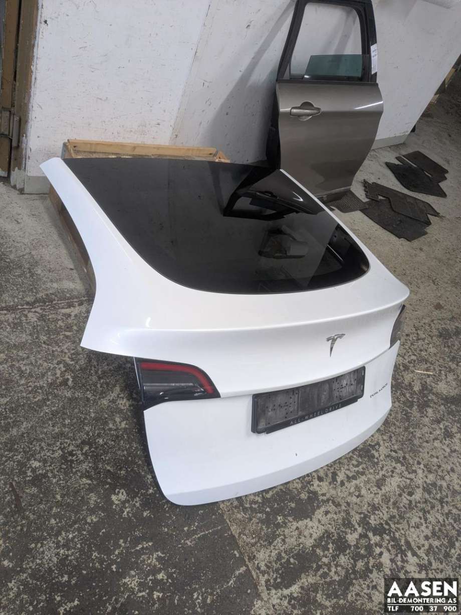 Bakluke til Tesla Model Y 2021-2024 (Type I) (1493410-ED-A|)