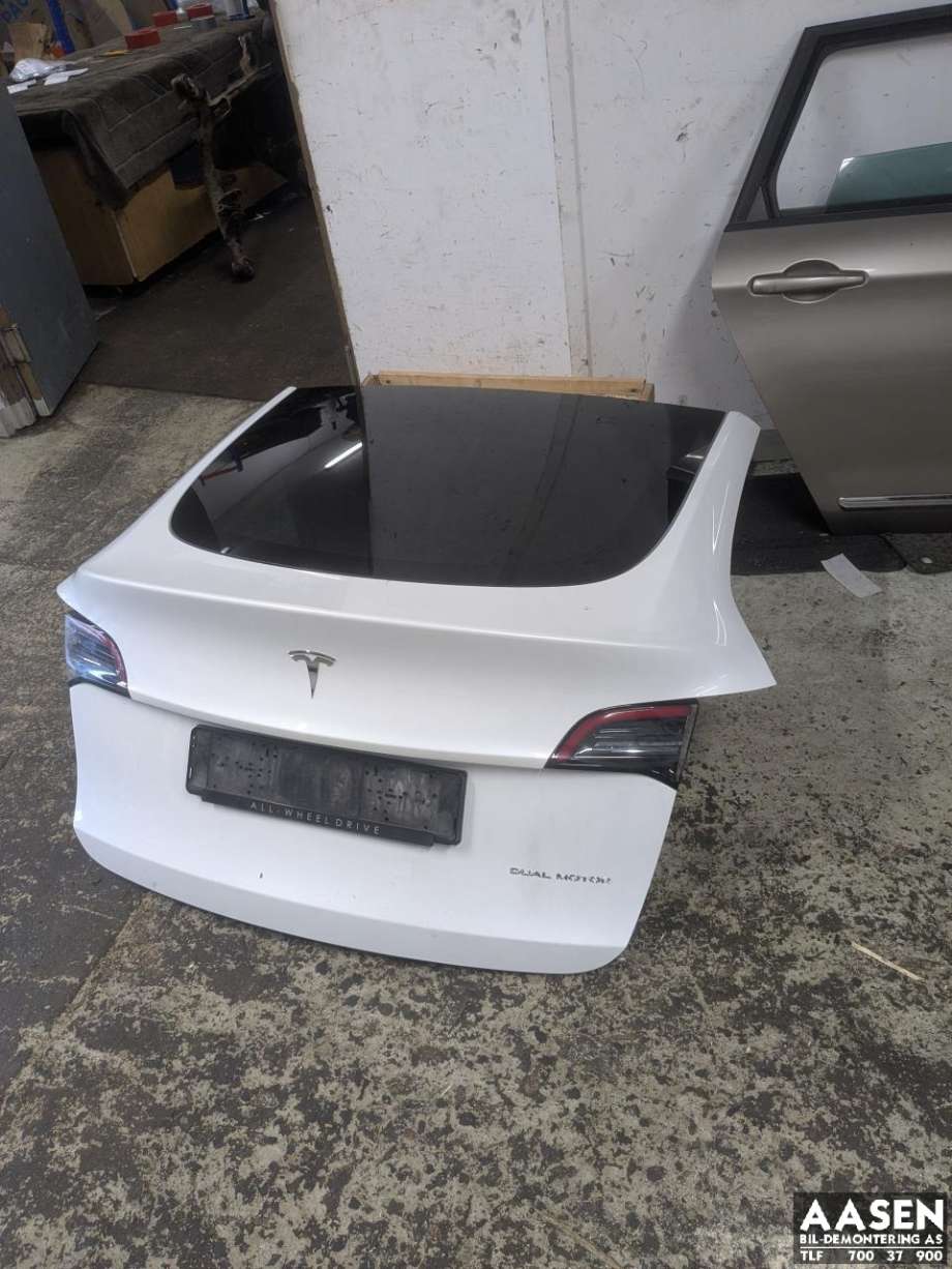 Bakluke til Tesla Model Y 2021-2024 (Type I) (1493410-ED-A|)