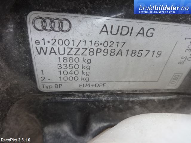 bilde