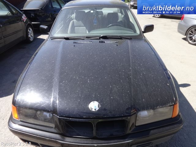 bilde