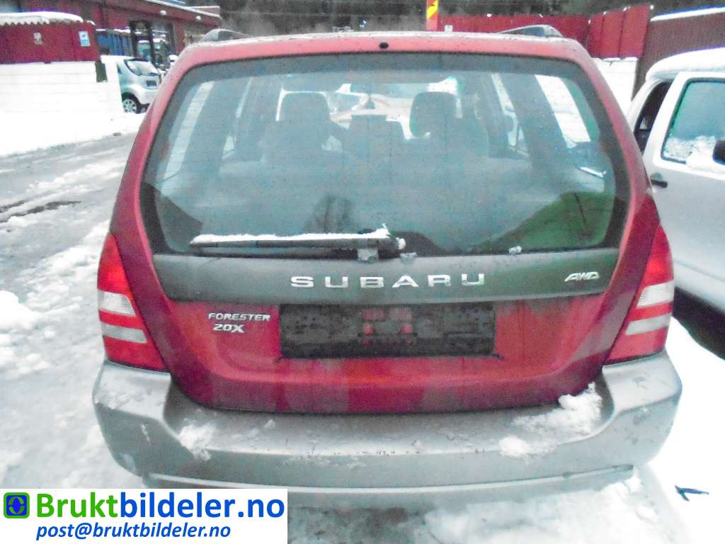 bilde