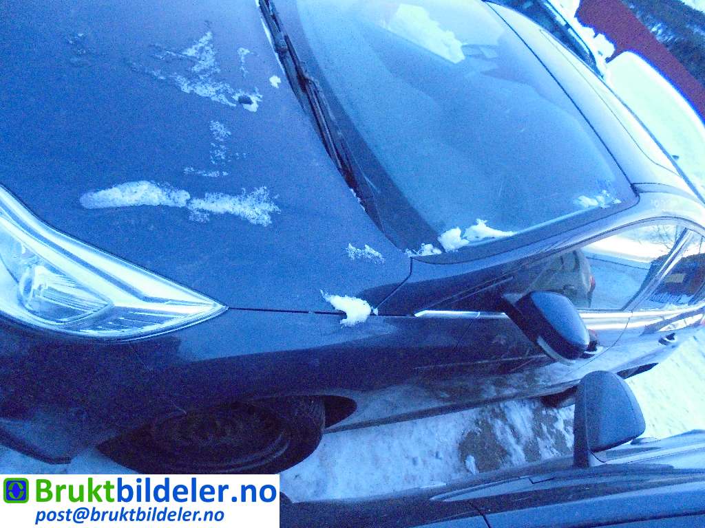 bilde