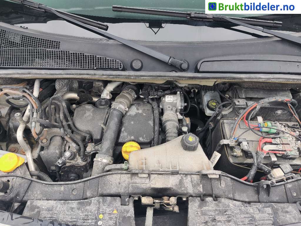 bilde