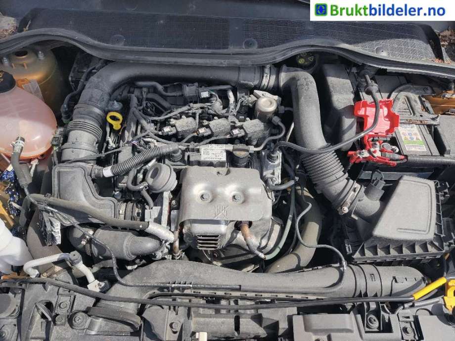 Ford Fiesta 2017-->> (Type VII) , Motorkode: SFJH;SFJK, Girkassekode: 