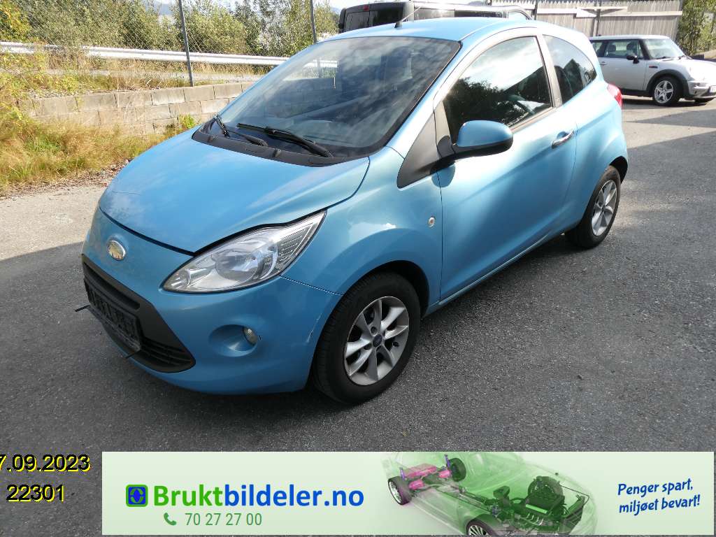 bilde