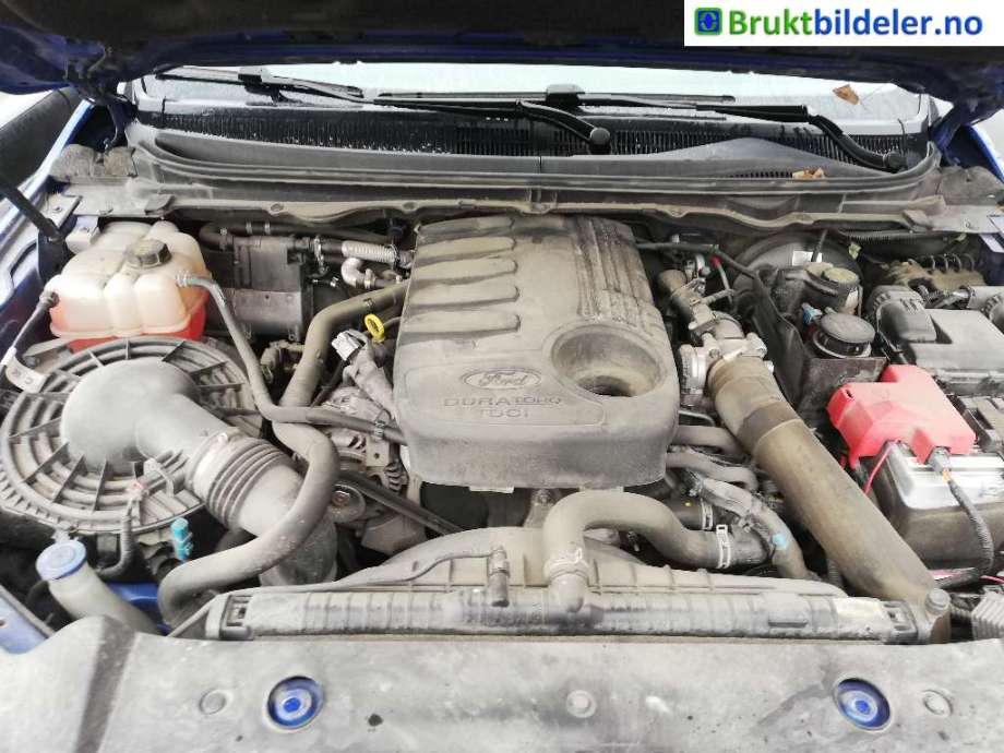 Ford Ranger / Ranger Raptor 2015-2022 , Motorkode: SA2S, Girkassekode: 