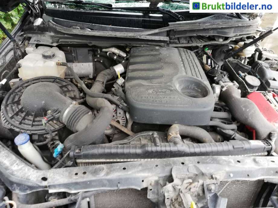 Ford Ranger / Ranger Raptor 2015-2022 , Motorkode: SA2W, Girkassekode: 