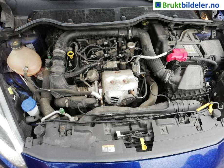 Ford Fiesta 2017-->> (Type VII) , Motorkode: SFJK, Girkassekode: 