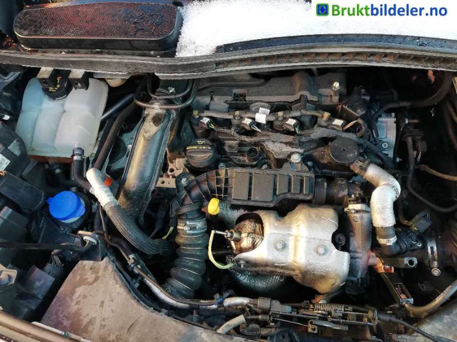 Ford Transit Connect 2018-->> Type II, Fase 2 , Motorkode: ZTGA, Girkassekode: 