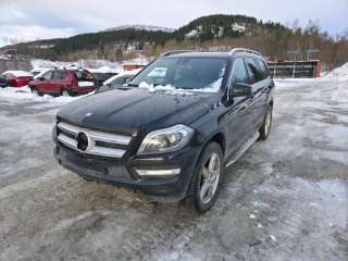 Mercedes GL, 2012-2016 (Fase 1) (X166) (X166) (MERCEDES|A 166 670 00 04)