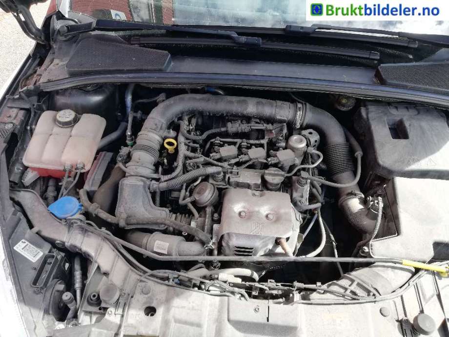 Ford Focus 2014-2018 (Type III, Fase 2) , Motorkode: M1DD, Girkassekode: