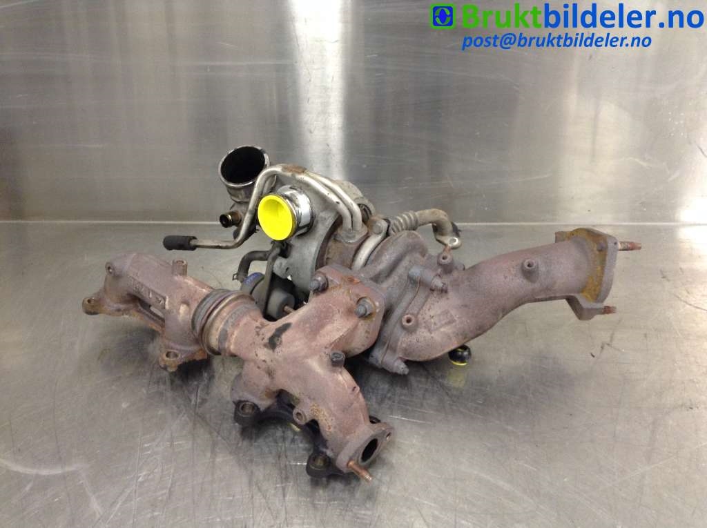 bilde