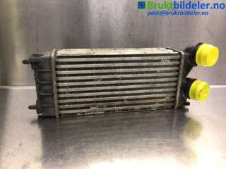 Intercooler til Peugeot 3008, 2009-2016 (Type I)  (PEUGEOT|9684212480)