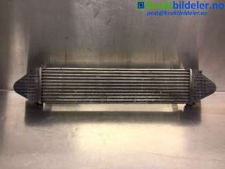 Intercooler til Land Rover Freelander, 2007-2014 (Type II)  (LAND-ROVER|6G91-9L440-ED)