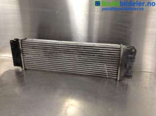 Intercooler til Mercedes Sprinter, 2006-2013 (Fase 1) (906) (906) (MERCEDES|A 906 501 01 01|880587W)