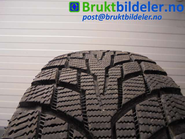 bilde