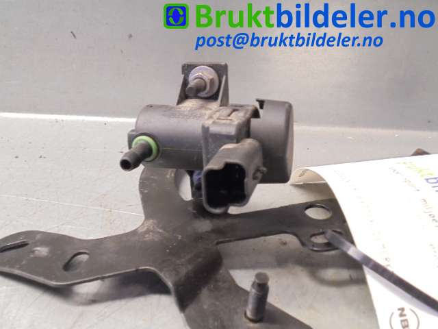 bilde