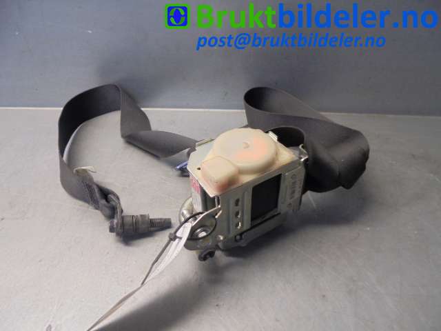 bilde