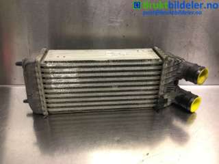Intercooler til Citroën DS3, 2010-2019  (CITROEN|96 843 116 80|P9004003)