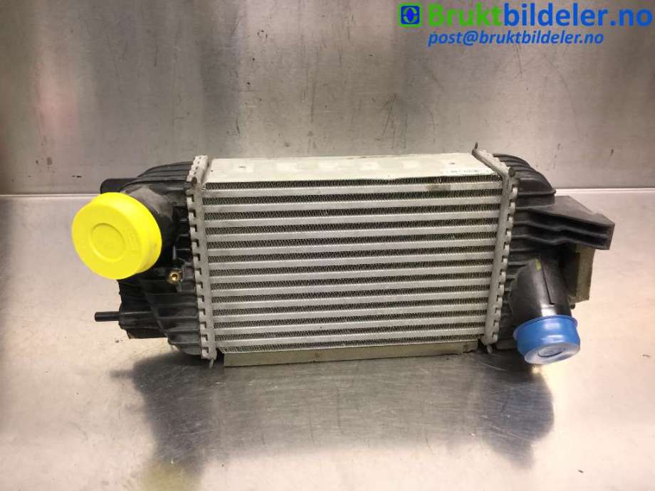 Intercooler til Nissan Juke, 2010-2014 (Fase 1)  (NISSAN|14461-1KC0A)