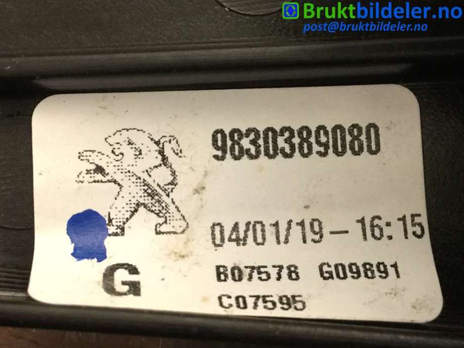 Ruteheis venstre bak til Peugeot 3008 2016-->> (Type II)  (PEUGEOT|9830389080||9829482580)