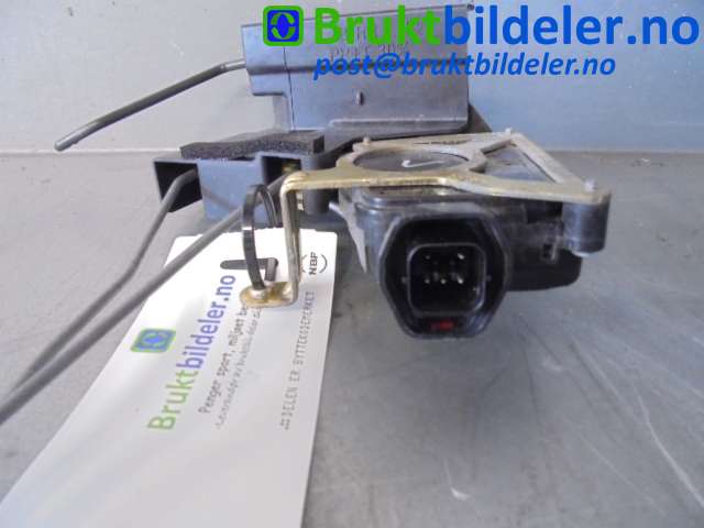 bilde